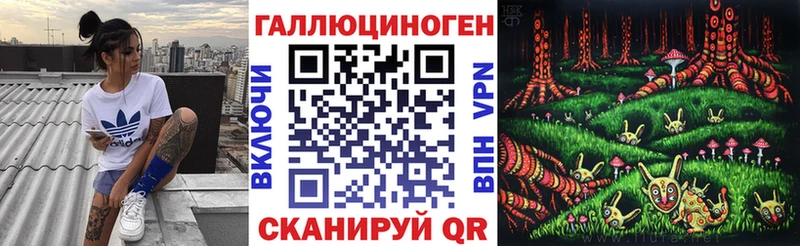 omg как зайти  Видное  Псилоцибиновые грибы Cubensis 