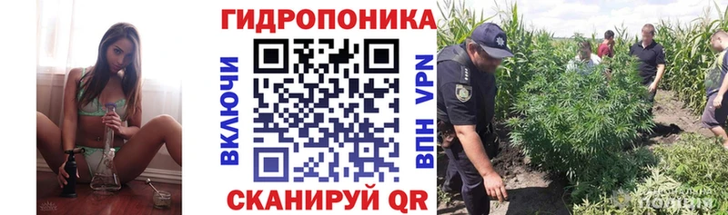Бошки марихуана тримм  даркнет как зайти  Видное 